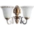 Настенный светильник Arte Lamp A1032AP-2WG 1