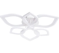 Потолочный светильник Arte Lamp A2531PL-6WH