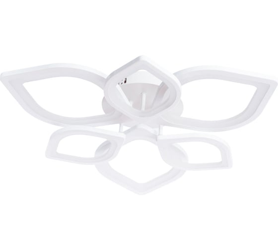 Потолочный светильник Arte Lamp A2531PL-6WH 1