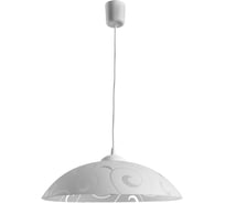 Подвесной светильник Arte Lamp A3320SP-1WH