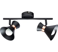 Настенный светильник Arte Lamp A1406AP-2BK
