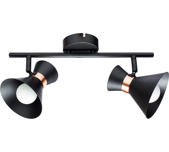 Настенный светильник Arte Lamp A1406AP-2BK 1