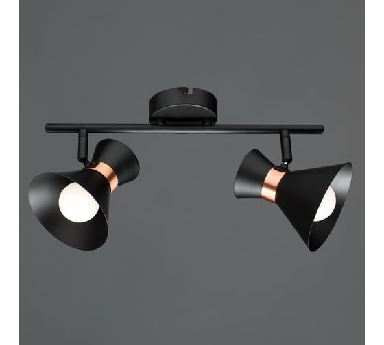 Настенный светильник Arte Lamp A1406AP-2BK