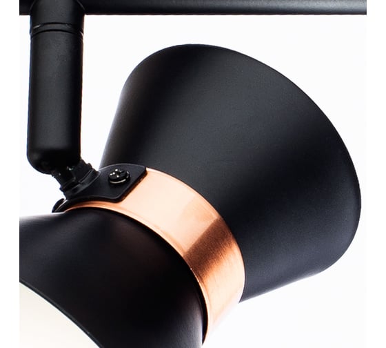 Настенный светильник Arte Lamp A1406AP-2BK
