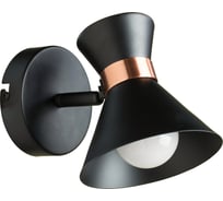 Настенный светильник Arte Lamp A1406AP-1BK