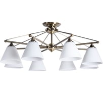 Потолочный светильник Arte Lamp A3208PL-8AB