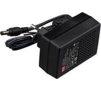 Сетевой адаптер Mean Well GST36E12-P1J Т02292680