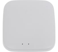 Конвертер WI-FI для трековой системы EKS COLIBRI SMART 0У-00002005