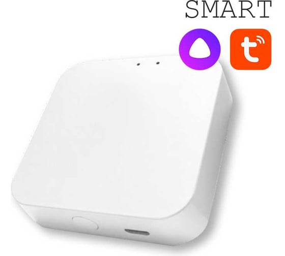 Конвертер WI-FI для трековой системы EKS COLIBRI SMART 0У-00002005