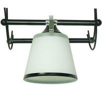 Настенное бра WEDO LIGHT ЛИАНА 65824.02.13.01