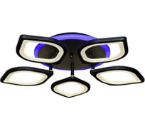 Потолочная люстра WEDO LIGHT ТАНИС 75226.01.14.05