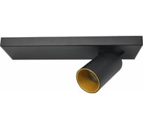 Потолочная люстра Lumien Hall КАЙЛ 8002/1W-BK-GD