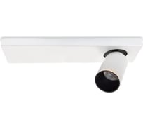 Потолочная люстра Lumien Hall КАЙЛ 8002/1W-WT-BK