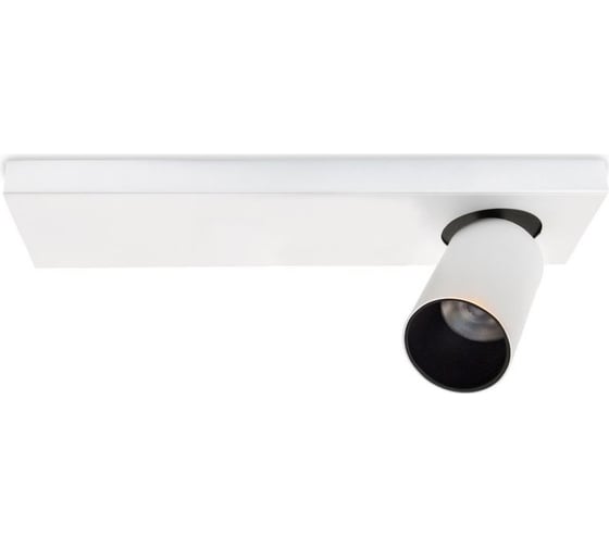 Потолочная люстра Lumien Hall КАЙЛ 8002/1W-WT-BK 1