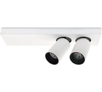 Потолочная люстра Lumien Hall КАЙЛ 8002/2W-WT-BK