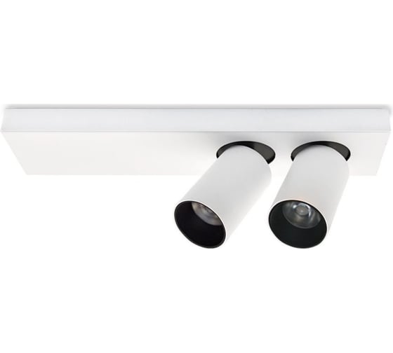 Потолочная люстра Lumien Hall КАЙЛ 8002/2W-WT-BK 1