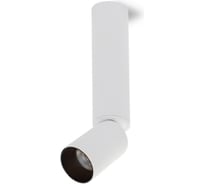 Потолочная люстра Lumien Hall ТОРИН 8001/1CL-WT-BK