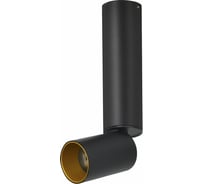 Потолочная люстра Lumien Hall ТОРИН 8001/1CM-BK-GD