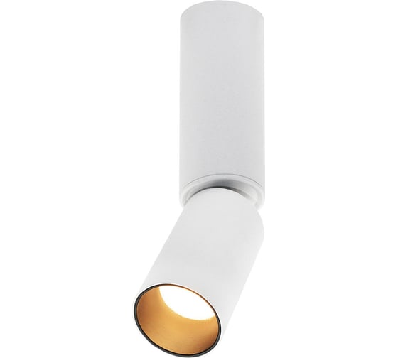 Потолочная люстра Lumien Hall ТОРИН 8001/1CM-WT-BK