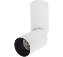 Потолочная люстра Lumien Hall ТОРИН 8001/1CS-WT-BK