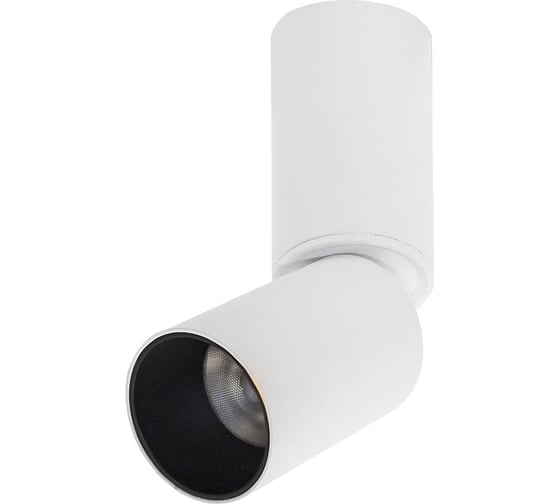 Потолочная люстра Lumien Hall ТОРИН 8001/1CS-WT-BK 1
