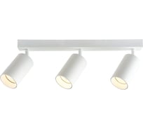 Потолочный светильник-спот BRIZZI ARAS BR08087