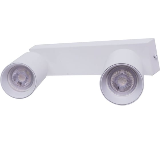 Потолочный светильник-спот BRIZZI ARAS BR08083
