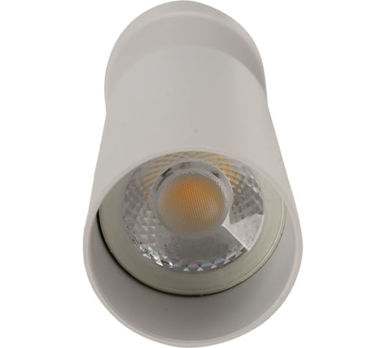 Потолочный светильник-спот BRIZZI ARAS BR08075