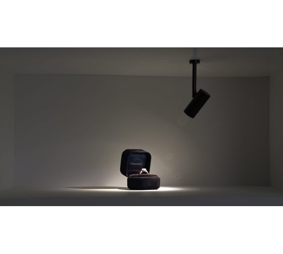 Светильник для витрины DREAMLED LOCUS XS NUT 0427 27° BP