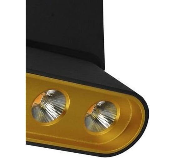 Потолочная люстра Lumien Hall ФЕРГУС 8005/3CL-BK-GD