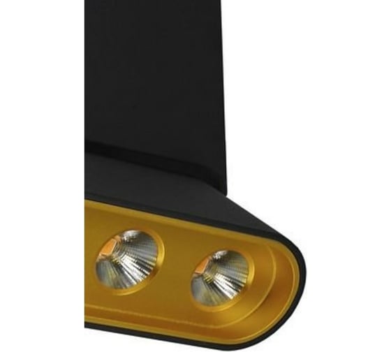 Потолочная люстра Lumien Hall ФЕРГУС 8005/3CM-BK-GD