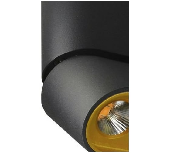 Люстра Lumien Hall ФЕРГУС 8005/3CS-BK-GD