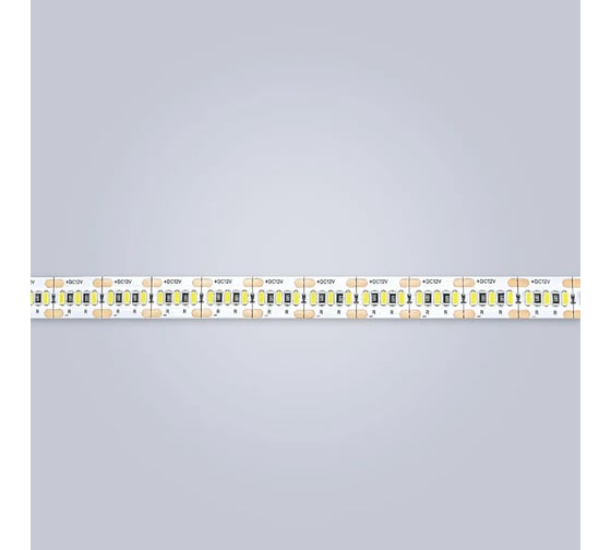 Светодиодная лента Eleganz Standard 3014 240 LED 24W/M 12V теплая 3000К EL-SS-24WW