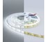 Светодиодная лента Eleganz Standard 2835 120 LED 9.6W/M СИЛИКОН 8mm IP65 12V Холодная 6000K EL-SS65-96W 1