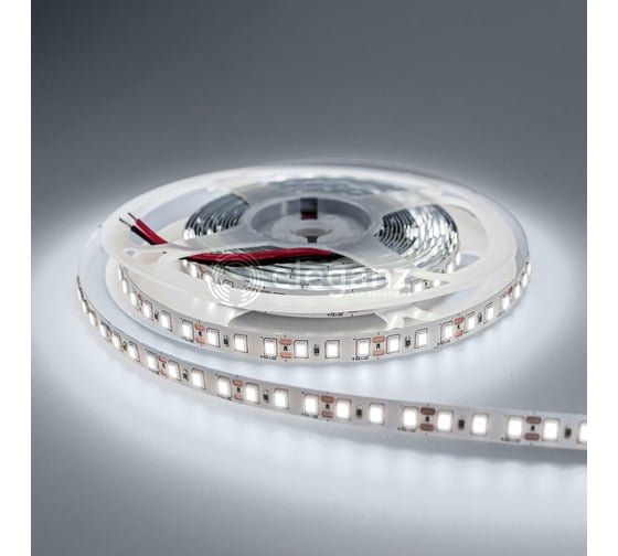 Светодиодная лента Eleganz Standard 2835 120 LED 9.6W/M 12V холодная 6000К EL-SS-96W