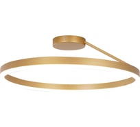 Люстра подвесная Балтийский светлячок с пультом управления LP-10008