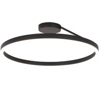 Люстра подвесная Балтийский светлячок с пультом управления LP-10009