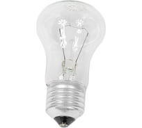 Лампа накаливания КЭЛЗ М50 230-25 100 8101101