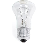 Лампа накаливания КЭЛЗ М50 230-75 100 8101401