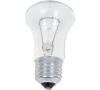 Лампа накаливания КЭЛЗ М50 230-95 100 8101501