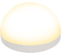 Лампа Uniel LED-GX53-10W/3000K/GX53/FR/SPHERE PLZ02WH UL-00011787