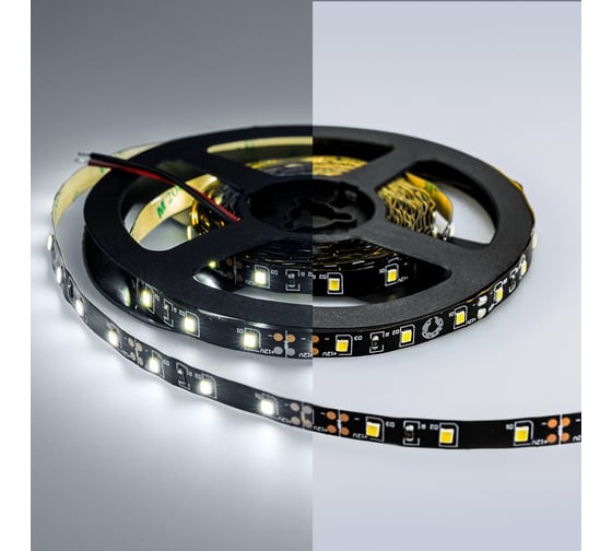 Светодиодная лента Eleganz LUX 2835 60 LED 4.8W/M 12V холодная 6000К ЧЕРНАЯ ОСНОВА 9009 1