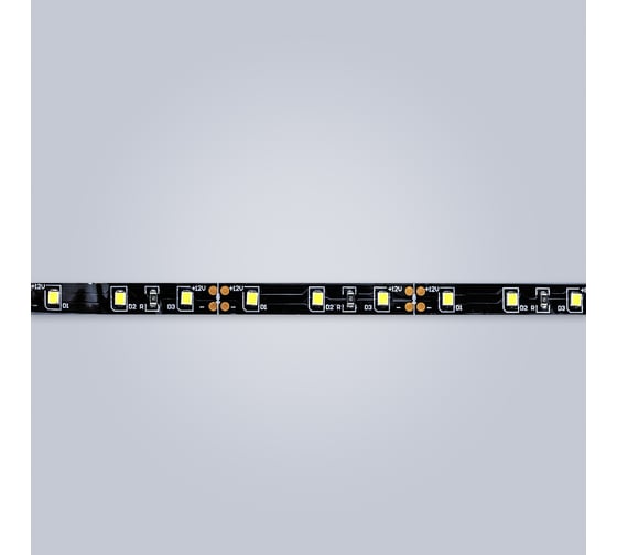 Светодиодная лента Eleganz LUX 2835 60 LED 4.8W/M 12V холодная 6000К ЧЕРНАЯ ОСНОВА 9009