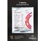 Светодиодная лента Eleganz LUX 2835 60 LED 4.8W/M 12V холодная 6000К ЧЕРНАЯ ОСНОВА 9009 9