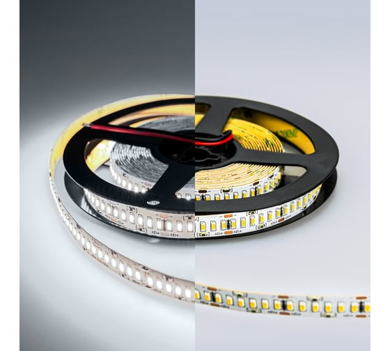 Светодиодная лента Eleganz LUX 3014 240 LED 24W/M 12V холодная 6000К IP20 EL-LS-24W