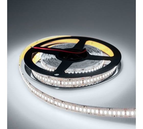 Светодиодная лента Eleganz LUX 3014 240 LED 24W/M 12V холодная 6000К IP20 EL-LS-24W