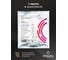 Светодиодная лента Eleganz LUX 3014 240 LED 24W/M 12V холодная 6000К IP20 EL-LS-24W 13