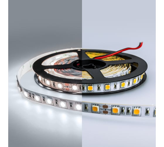 Светодиодная лента Eleganz LUX 24V 5050 60 LED 14,4W/M Холодная 6000К EL-24V-14W