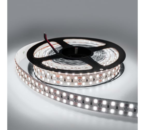 Светодиодная лента Eleganz LUX 24V 2835 240 LED 19.2W/M холодная 6000К IP20 ДВУХРЯДНАЯ EL-24V-19W