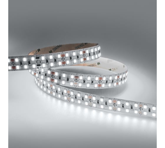 Светодиодная лента Eleganz LUX 24V 2835 240 LED 19.2W/M холодная 6000К IP20 ДВУХРЯДНАЯ EL-24V-19W